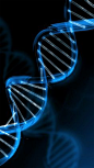DNA模式设计壁纸在蓝色背景#艺术#线#DNA#模式#墙纸#蓝色#背景