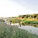 AR精选 | 重塑河道生命系统 ：深圳茅洲河碧道·光明段生态修复试点 — EADG_丁坝 : 以近自然的手法对茅洲河进行生态修复，为动物营造河道内丰富的生境栖息地，为民众创造出多样化的亲水空间，打造人与动植物和谐共处的都市生命河流修复样板。 茅洲河生态修复过程中，运用壅水设施、桩式丁坝、抛石…