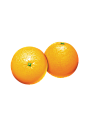 橙子