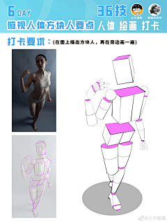 泥可可采集到人体-001