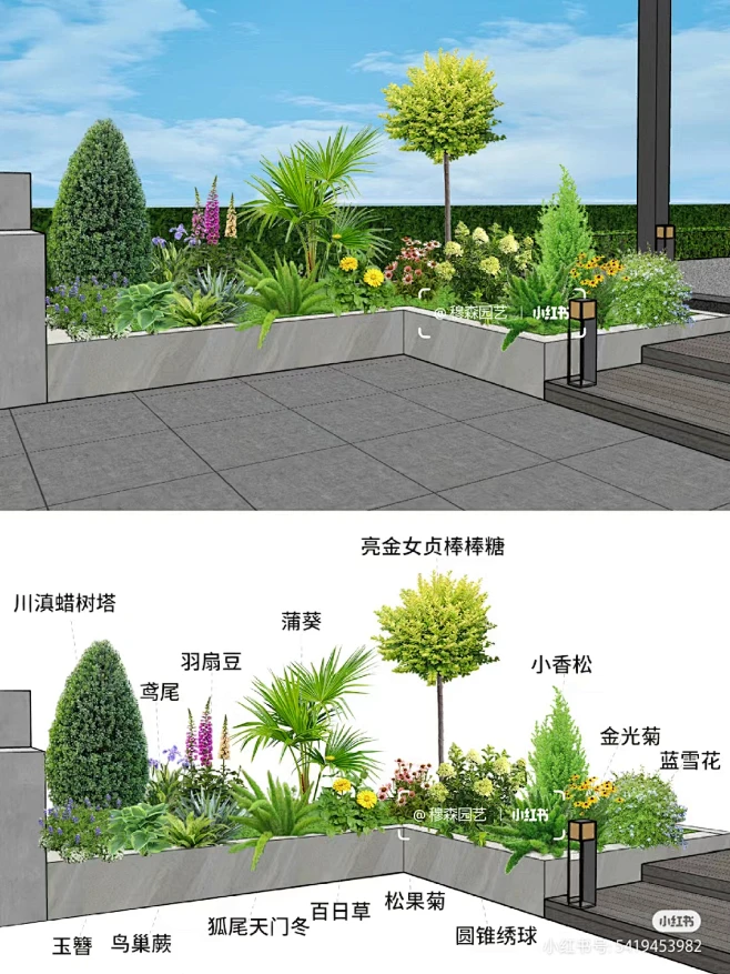 花境搭配-花瓣网