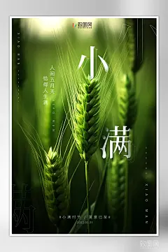 摄影风小满节气海报