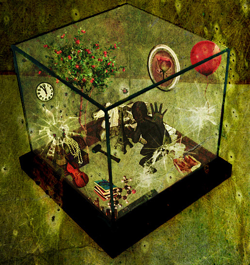 Popup Image Viewbox ...