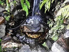 植物园,成年的,旅行者,人,女人,人群,夏天,著名景点,热带气候,旅游目的地