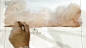 跟富兰克学画画7(水彩风景-室外,公园,谈恋爱—在线播放—优酷网，视频高清在线观看
