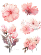 f66a4bb657559b6d62bbe5bcc2e5c0cb3295c7f93d62c-zf043u_fw1200_看图王