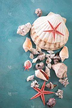 夏天,海洋,绳子,暗色,背景,蓝色背景,海星,摩纳哥,热带植物图案,海洋生命