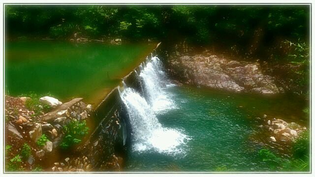 青山碧水-----竹林一角
_艺术中国