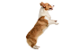 6ebdf9149f09e095ee5dab44cd2cff4e3b71913b1c20a-O3AQMC