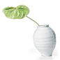 荷兰Moooi Ming Vase 明 花瓶