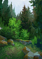 Practice/sketches/studies