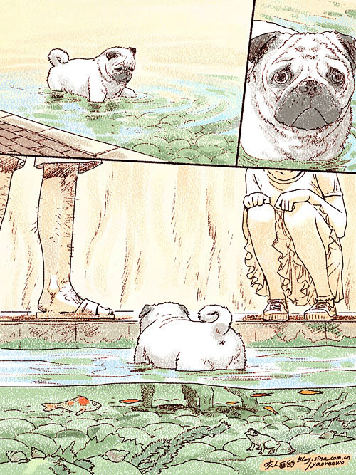 咬人画的更新：生活随笔 水池里的八哥犬 ...