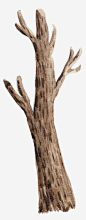 棕色手绘树干装饰免抠素材_图宝宝 https://bao16.com 卡通树冠 大树 手绘树干 效果图 树干 树木