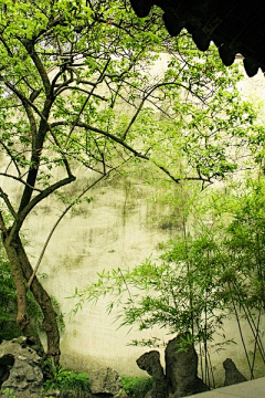 洛绯烟采集到风景