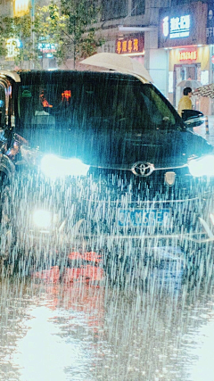 宁馨郁金香采集到烟雨微微