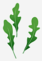 绿色海藻高清素材 植物 海底 海洋 绿色 免抠png 设计图片 免费下载