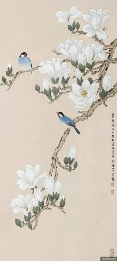 ~晴儿~采集到设计灵感图片