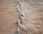 Striking Aerial Photographs of Namibia's Arid Landscape Appear as Abstract Paintings : Australian photographer Leah Kennedy captured Namibia's colorful, dry topography on a recent aerial safari. Much of the artist's work is aerial, which satisfies her cre