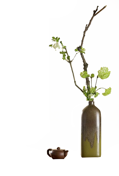 插花  花瓶 茶壶 PNG<a clas...