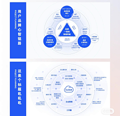 阿妮-008采集到PPT图表