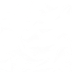 米条~采集到盒子