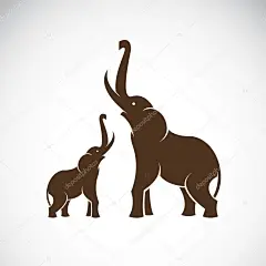 大象在白色背景上的矢量图像