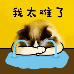 我太难了难过哭泣猫咪GIF动图表情包-花瓣网
