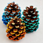 Add a pop of color to some pinecones! | Inspiration