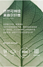 【广角裤】太平鸟高腰阔腿裤2025年夏季新款原牛薄款大直筒牛仔裤-tmall.com天猫