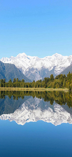 喵与花采集到风景