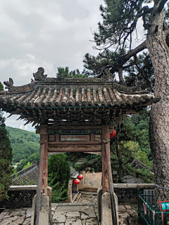 （我是小厨神）采集到自然