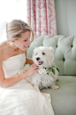 Westie.: | We Heart It