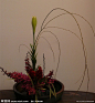 禅意插花
