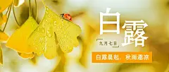 白露节气早安祝福秋天公众号首图