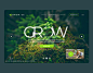 GROW.GE - LANDING PAGE