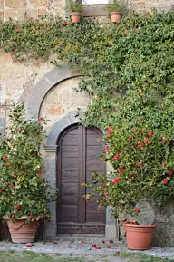 畵❀下の庭院深深，深几许