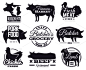 牛排,动物主题,肉店,牛肉,标签,肉,羊肉,猪肉,商店,鸡肉