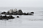 Rock, sea, bird and gray HD photo by Lauren Mancke (@laurenmancke) on Unsplash : Download this photo in United States by Lauren Mancke (@laurenmancke)