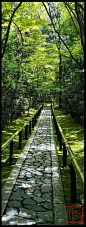 Daitoku-ji ｜SPRING GARDENS IN KYOTO