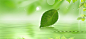 春季新品,绿色,化妆品海报,养生,天猫淘宝促销,海报banner,文艺,小清新,简约图库,png图片,,图片素材,背景素材,16320北坤人素材@北坤人素材