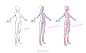 初学者画人体时总是太在意外轮廓而不小心把人体画太薄。
这里总结了个3大块八8小条思考方式。先不去追究肌肉结构，只记住3大块和8小条的形状就可以快速入门人体。今天这些部分只介绍了3大块和8小条的形状。
1、用基础几何体去理解，别用圆柱体。
2、结构体块形成外轮廓。
3、4、记住结构形状。
5、6、 ​​​​...展开全文c