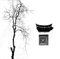 吴璜---西溪湿地一隅。作品拍摄2006年，作者得知杭州市整治西溪湿地，就及时赶到市郊余杭区境内的西溪湿地，拍摄数日，除高墙之外，冬日下，一棵枣树长在一扇石雕的小窗边。