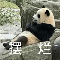 可以看看大家手机里的熊猫表情包吗 - 小红书