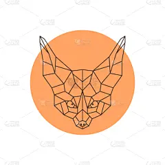几何形状,小的,非洲大耳小狐,野外动物,动物头,分离着色,可爱的,白色,创造力,自然