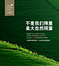 【预售】小罐茶特级黄山毛峰2020年明前春茶新茶茶礼盒装绿茶40g-tmall.com天猫