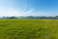 ．Assum采集到直播间背景