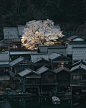 京都的春天 | 摄影师Riki Shinagawa ​​​