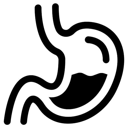 胃消化图标
