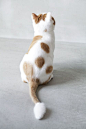 斑点猫，是谁把你的颜色涂得这么任性，太抽象了，所以你只想把背影给无知的人类么，哈哈