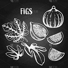 水果,分离着色,白色,叶子,插画,无花果,农业,食品,熟的,甜点心